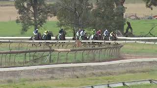 Gulgong 09 06 2024 Race 4 [upl. by Ivetts]