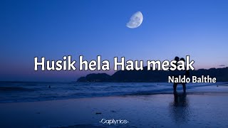 Naldo balthe  Husik hela Hau mesak lyrics 🎵 [upl. by Ameer]