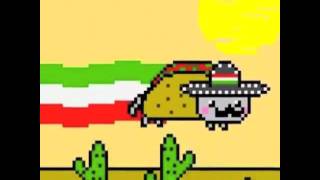 Mexican Nyan Cat  Super Alpha Extended Version [upl. by Immat689]