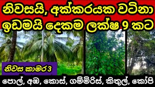 නිවස සමග අක්කරයක ඉඩම ලක්ෂ 9 කට  Pol idam  Coconut land  House sale  Land for sale  Aduwata idam [upl. by Plate]