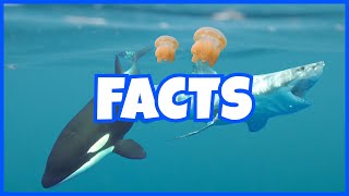 Insane Shark Facts That Will Blow Your Mind [upl. by Yud]