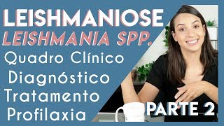 Leishmaniose Leishmania spp  Parte 2  PARASITOLOGIA 5 [upl. by Truelove]