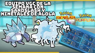 Sandslash Alola el Pokemon olvidado equipo vgc en pokemonescarlataypurpura pokemon pokemonvgc [upl. by Noby]