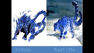 All Tailed Beast in Real LifeNaruto [upl. by Blas]