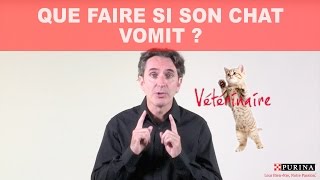 Que faire si son chat vomit [upl. by Letta189]