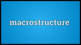 Macrostructure Meaning [upl. by Haron185]