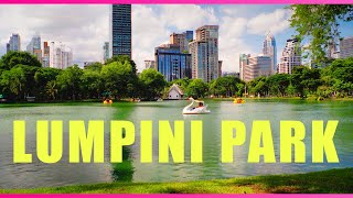 Lumpini Park A Free amp Easy To Do Urban Safari  Bangkok Thailand Travel [upl. by Leonteen815]