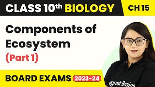 Class 10 Biology Chapter 15  Components of Ecosystem Part 1  Our Environment [upl. by Yanehc]