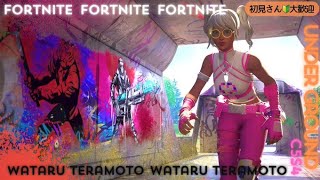 視点を小さく。fortnite フォートナイト [upl. by Gilud]