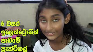 රෙසිස්ටරයෙන් මොනද වෙන්නේ  What is the Resistor  Basics Understanding of Resistors in Sinhala [upl. by Neall583]