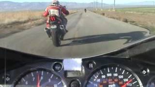 Suzuki SV1000 vs Hayabusa Just how much faster is the Busa [upl. by Cima]