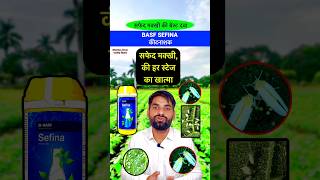 सफेद मक्खी के लिए  BASF Sefina  Whitefly best insecticide  insecticide whiteflies shorts [upl. by Stelle]