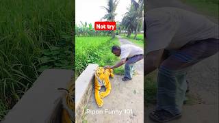 Prank On Murubbi Most Fake Scary Tiger shorts funnyshorts memes [upl. by Letty]