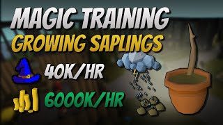 Growing Saplings 40K EXP  6000K GPHr [upl. by Oba]