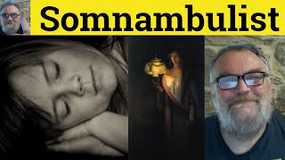 🔵 Somnambulist Meaning  Somnambulism Examples  Somnambulist Defined  Literary English [upl. by Eatton411]