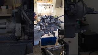 ZEXEL 4D56 Rotary injection pump diesel truck mechanic fyp foryou viralvideo shorts [upl. by Montano527]