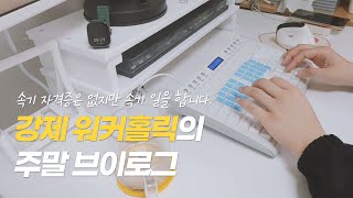 vlog│말이 씨가 된 프리랜서의 주말 브이로그 [upl. by Einnej]