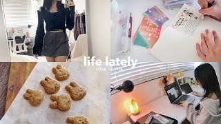 VLOG my life in june 🍃  studying baking miffy cookies term break outfits etc [upl. by Wickham]