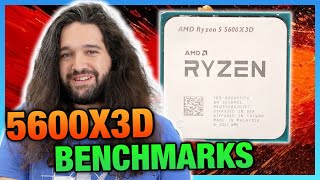 AMD Ryzen 5 5600X3D CPU Review amp Benchmarks Last Chance Upgrade [upl. by Iona]