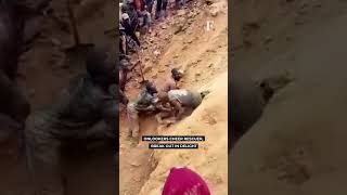 Watch Miners in Congo Make Dramatic Escape From Collapsed Gold Mine [upl. by Eisenberg]