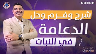 شرح وفرم وحل الدعامة في النبات ركز وتابع معايا خطوة بخطوة 💪🏻🔥 [upl. by Sirob]