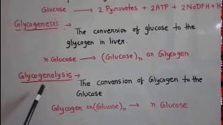 Metabolism of carbohydrate part 1 [upl. by Silvia358]