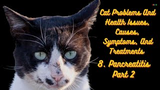 Cat Problems And Health Issues Causes Symptoms And Treatments Pancreatitis Part 2 Shorts cats [upl. by Nwahsem498]