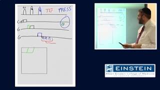 Introducing MRI MR Spectroscopy 48 of 56 [upl. by Teeter]