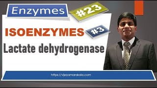 Lactate dehydrogenase Isoenzymes Diagnostic important enzymes [upl. by Elicia]