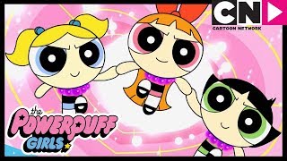 ¡Hermanas primero  Las Chicas Superpoderosas  Cartoon Network [upl. by Rubens]