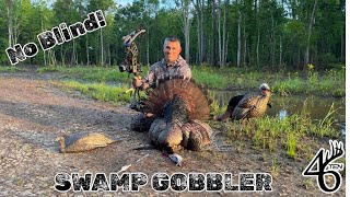 NO BLIND SWAMP GOBBLERS w BOW Turkey Hunting South GA Late Season [upl. by Ihcas134]