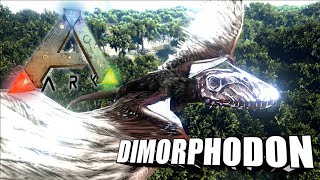 Taming A Dimorphodon  Ark Survival Evolved  The Island [upl. by Syd910]