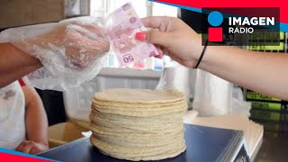 Inflación ¿Por qué sigue subiendo el precio de la tortilla [upl. by Lareneg157]