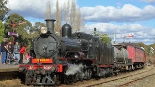 Chasing The D3 639 Steam Locomotive  Australian Trains [upl. by Kcirrem]