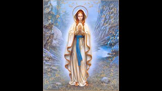 2023 with words Feast of the Immaculate Conception [upl. by O'Reilly267]