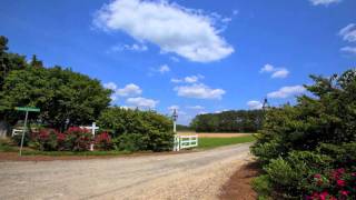 NC Farms and Plantations For Sale [upl. by Bohannon]