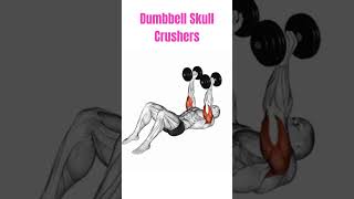 Dumbbell Skull Crushers workout homeworkout shorts [upl. by Nosiram]