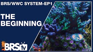 Ep1 How we setup a simple and stable reef tank  The BRSWWC System [upl. by Priscella]