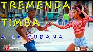 EXCELENT TIMBA CUBANA en La Habana  rumba salsa cubana [upl. by Fai371]