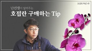 호접란 키우고 싶은데 구매는 어떻게 해야할까  2024 호접란 특집 1부 난알아요 [upl. by Groos]