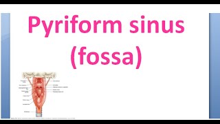 ENT Pyriform Sinus Fossa HypoPharynx LaryngoPharynx Carcinoma Malignancy smuggler [upl. by Anirec]