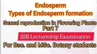 Endosperm formation in Angiosperms [upl. by Pillihpnhoj]