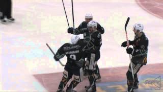 Bietigheim Steelers 201213 A SEASON TO REMEMBER [upl. by Levy370]