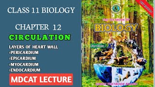 LAYERS OF HEART WALL  PERICARDIUM  CLASS 11 NEW BIOLOGY SINDH amp FEDERAL MDCAT LECTURE [upl. by Dwain549]