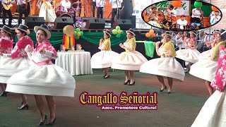 COMPARSA CANGALLO SEÑORIAL 🎉🪈I ENCUENTRO MUSICAL DE COMPARSAS AYACUCHANAS [upl. by Herwig]