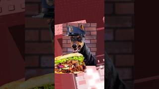 Korrekte Aussprache von Hunderassen🐩🐕Ich heule😭 preppypaco roblox [upl. by Delanie804]