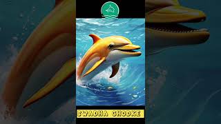 Dolphin Dance ytshorts dolphines viralvideo swadhaghodke [upl. by Ydnyc]