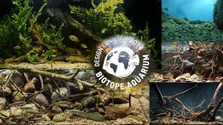 Biotope aquarium design contest 2018 all aquariums [upl. by Erasaec995]