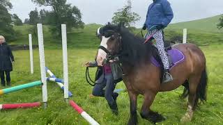 Eskdale pony club rally Sunday 16th July 2024 carlenrig [upl. by Megdal]