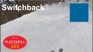 Skiing Switchback at Plattekill Mountain Mar 4th 2023 [upl. by Lyn]